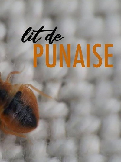 Póster de The Bedbug