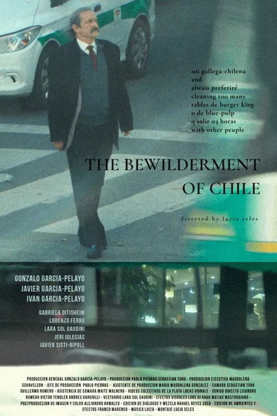 Póster de The bewilderment of chile