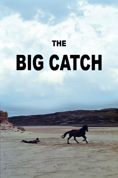 Póster de The Big Catch