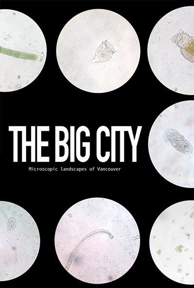 Póster de The Big City