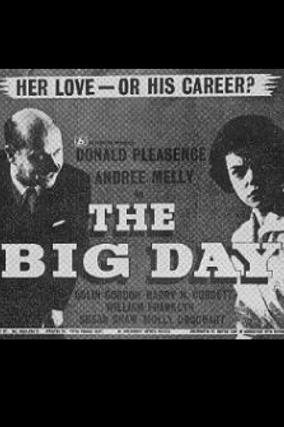 Póster de The Big Day