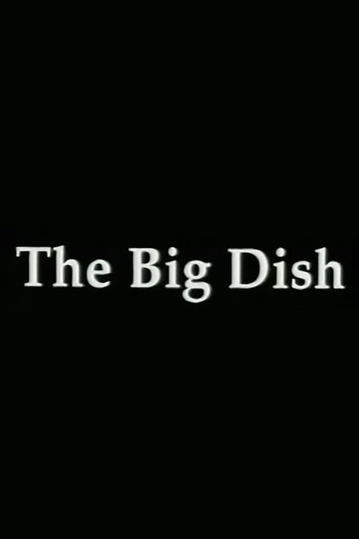 Póster de The Big Dish