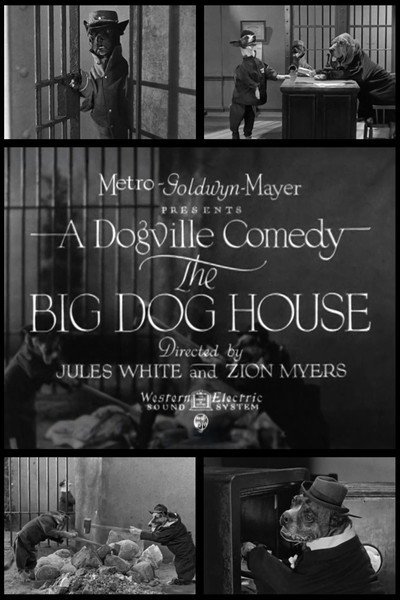 Póster de The Big Dog House
