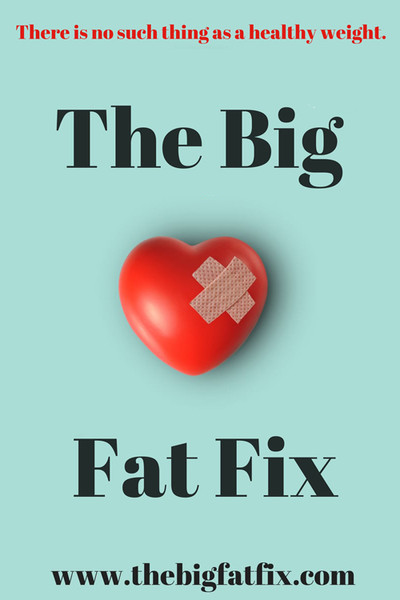 Póster de The Big Fat Fix
