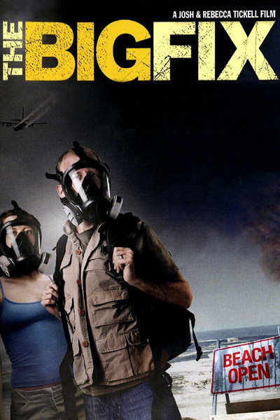 Póster de The Big Fix