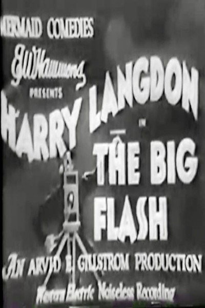 Póster de The Big Flash