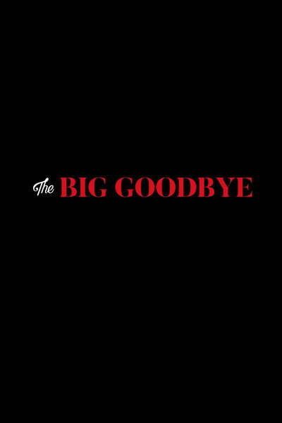 Póster de The Big Goodbye
