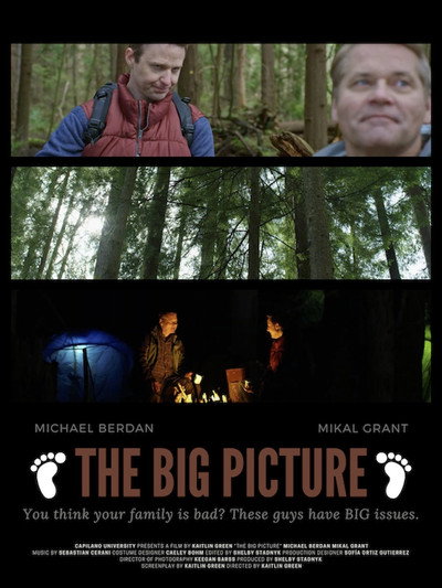 Póster de The Big Picture