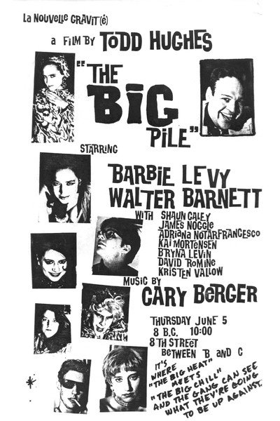 Póster de The Big Pile