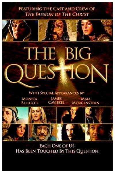 Póster de The big question