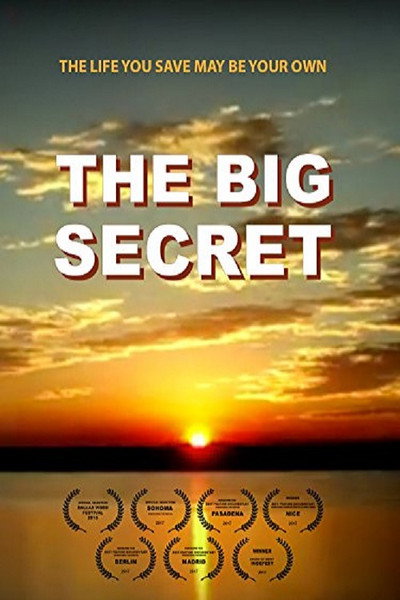 Póster de The Big Secret