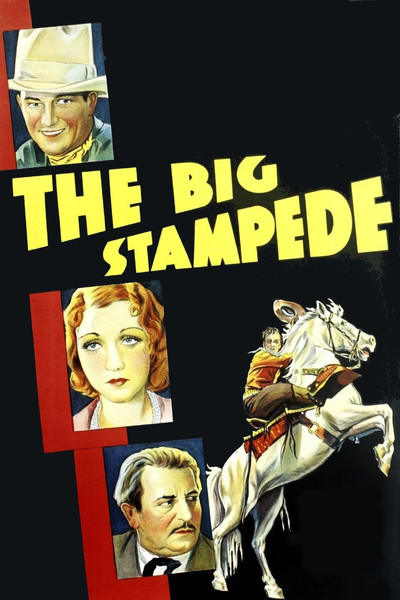 Póster de The Big Stampede