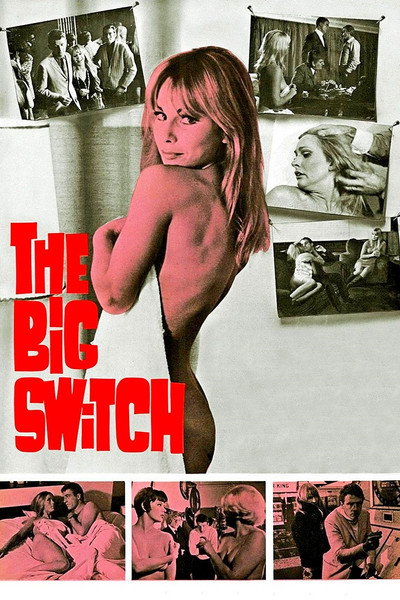Póster de The Big Switch