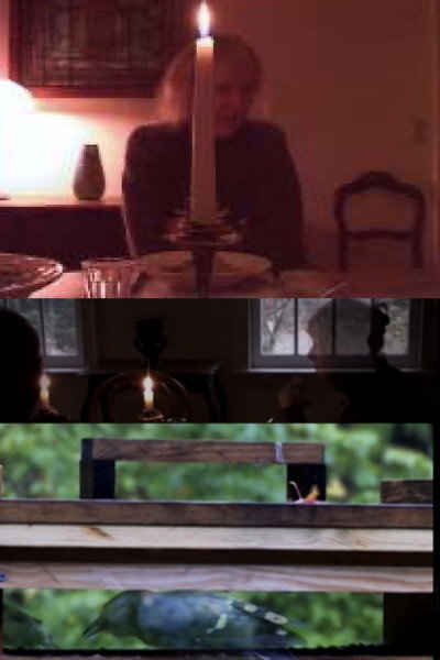 Póster de The Bird Feeders