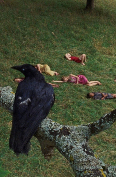 Póster de The Bird Game