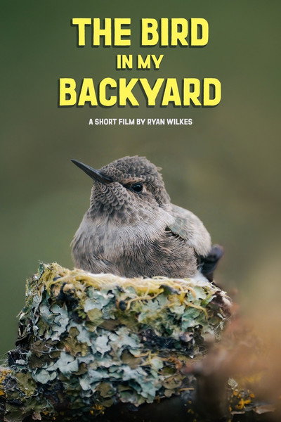 Póster de The Bird in My Backyard