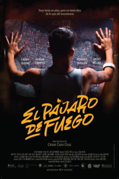 Póster de The Bird of Fire