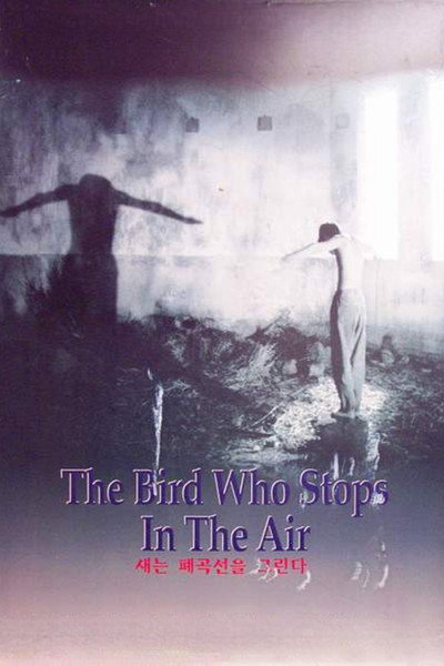 Póster de The Bird Who Stops in the Air