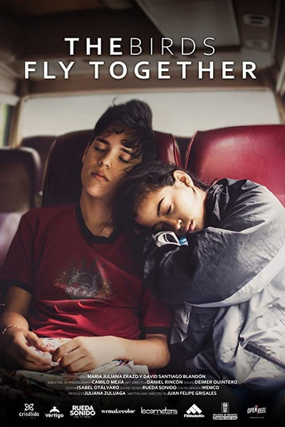 Póster de The Birds Fly Together