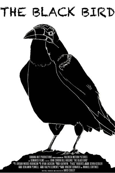 Póster de The Black Bird