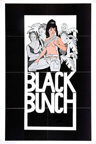 Póster de The Black Bunch