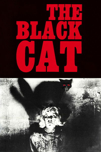 Póster de The Black Cat