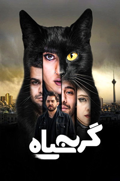 Póster de The Black Cat
