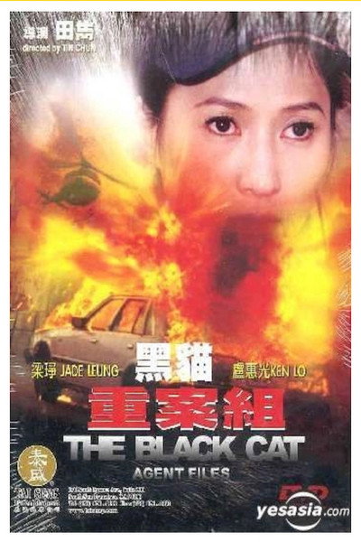 Póster de The Black Cat Agent Files