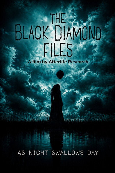 Póster de The Black Diamond Files As night swallows day