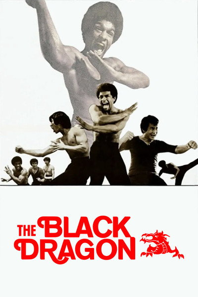 Póster de The Black Dragon