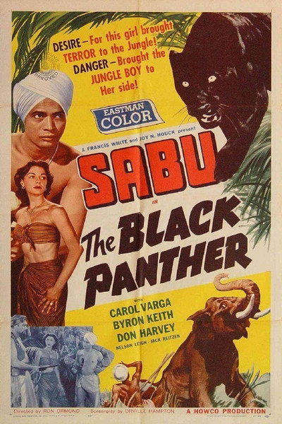 Póster de The Black Panther