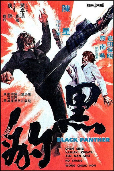 Póster de The Black Panther