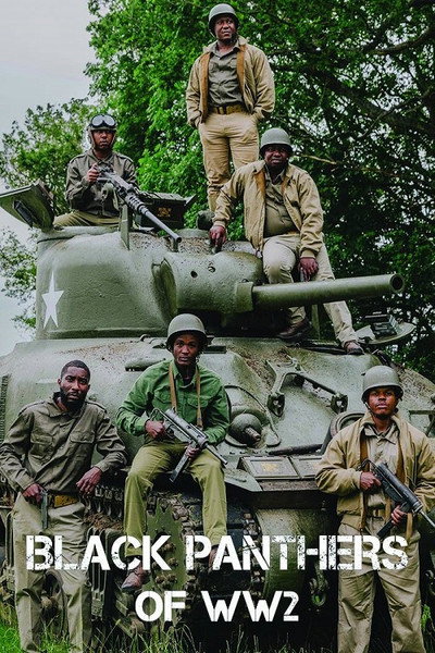 Póster de The Black Panthers of WW2
