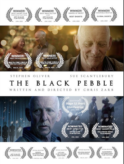 Póster de The Black Pebble