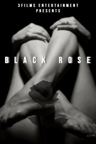 Póster de The Black Rose