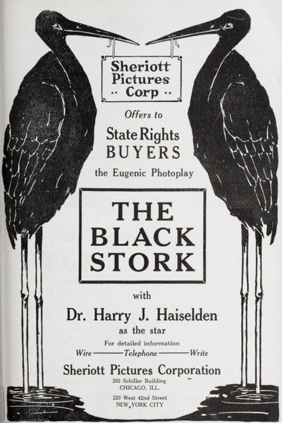 Póster de The Black Stork