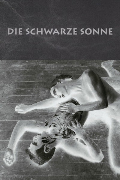 Póster de The Black Sun