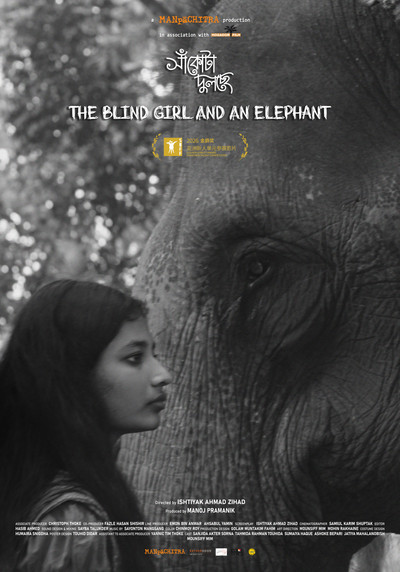 Póster de The Blind Girl and an Elephant