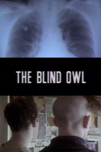 Póster de The Blind Owl