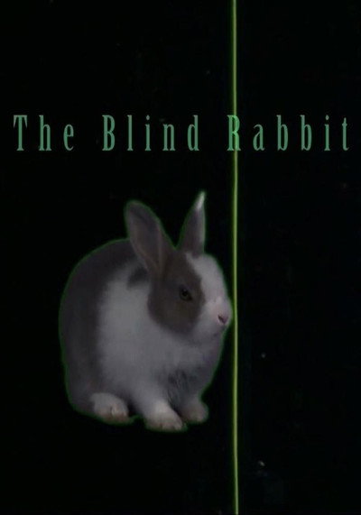Póster de The Blind Rabbit