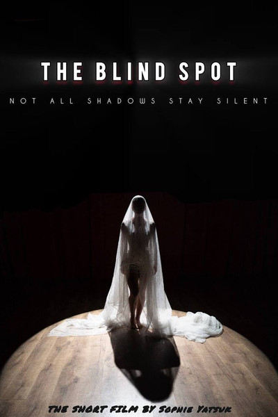 Póster de The Blind Spot