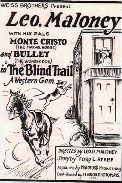 Póster de The Blind Trail