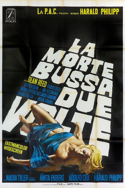 Póster de The Blonde Connection