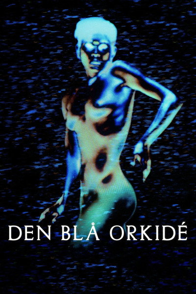 Póster de The Blue Orchid