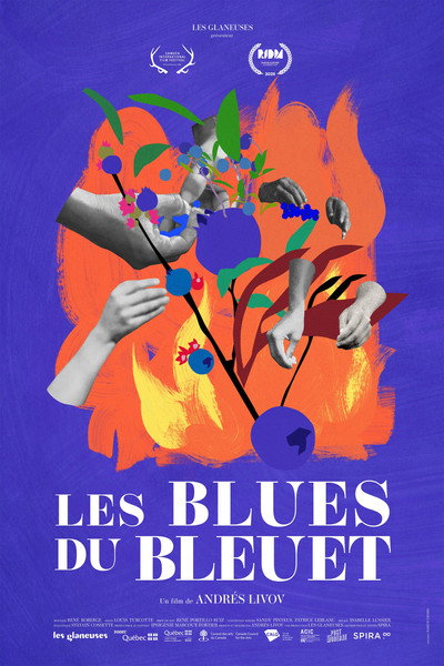 Póster de The Blueberry Blues