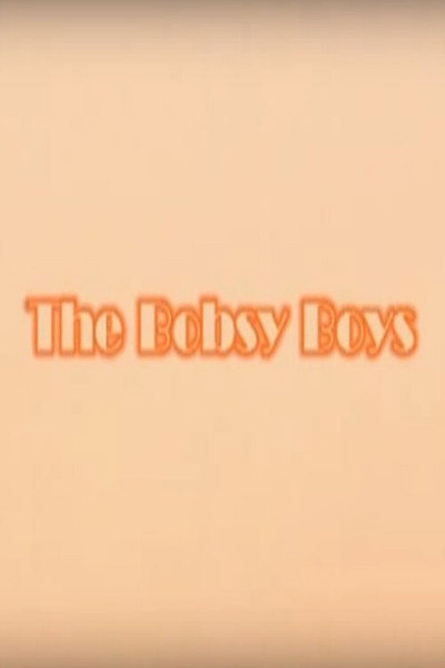 Póster de The Bobsy Boys