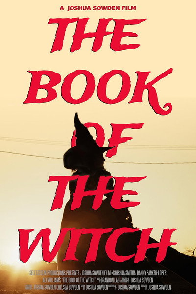 Póster de The Book of the Witch