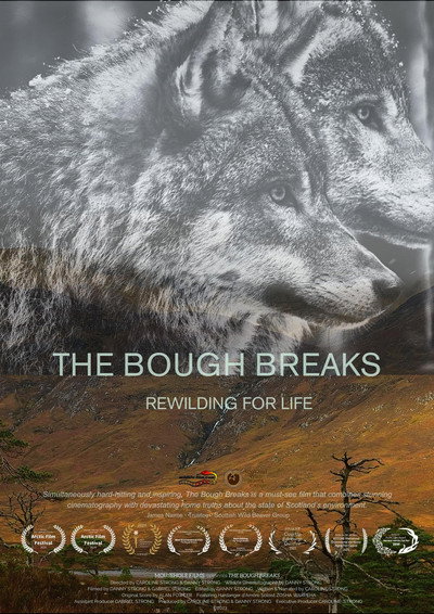 Póster de The Bough Breaks