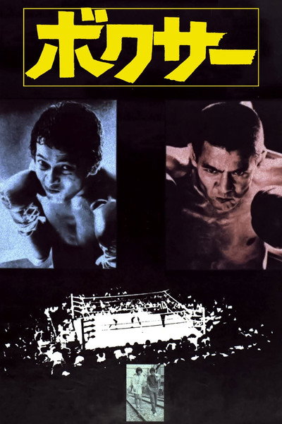 Póster de The Boxer