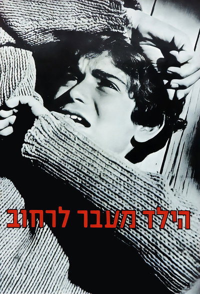 Póster de The Boy Across the Street